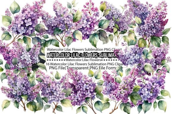 Download Watercolor Lilac Flowers Sublimation - Lilac Collection
